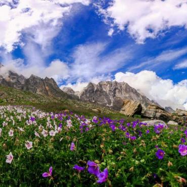 Valley of Flowers หุบเขาแห่งความฝันที่ธรรมชาติสร้างสรรค์