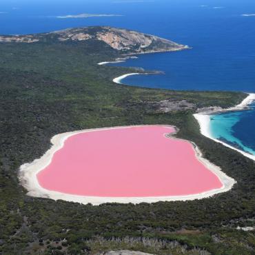 Lake Hillier ทะเลสาบสีชมพู Unseen ออสเตรเลีย