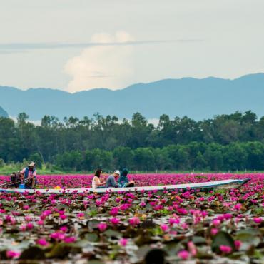 ทะเลน้อย เที่ยวเมืองรองภาคใต้ ชมธรรมชาติ วิถีชีวิตพื้นบ้าน พร้อมสิทธิ์ลดหย่อนภาษีปี 67